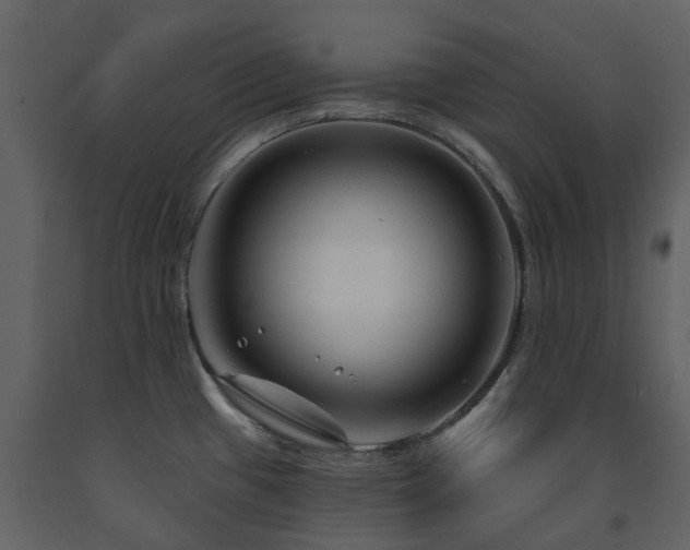 X0000091731433200708241402