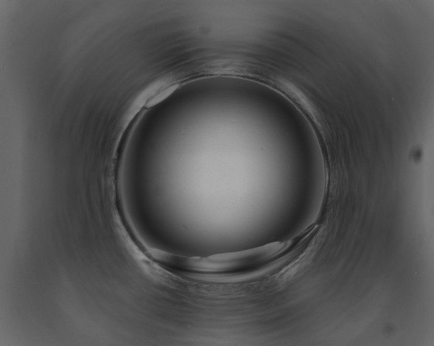 X0000091731434200708241402