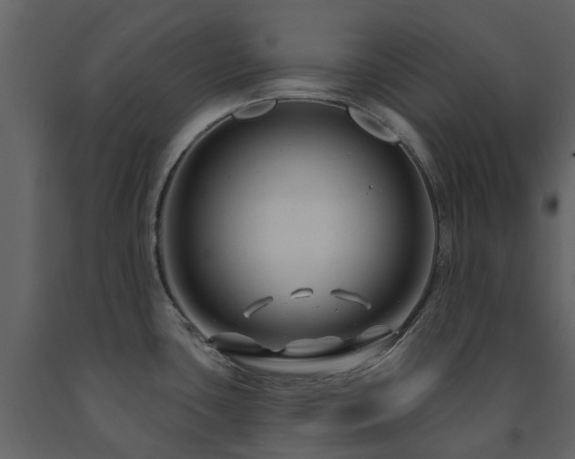 X0000091731435200708241402