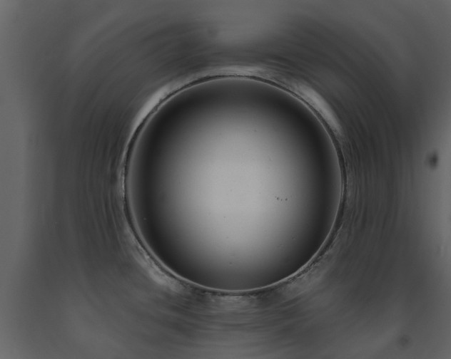 X0000091731436200708241402