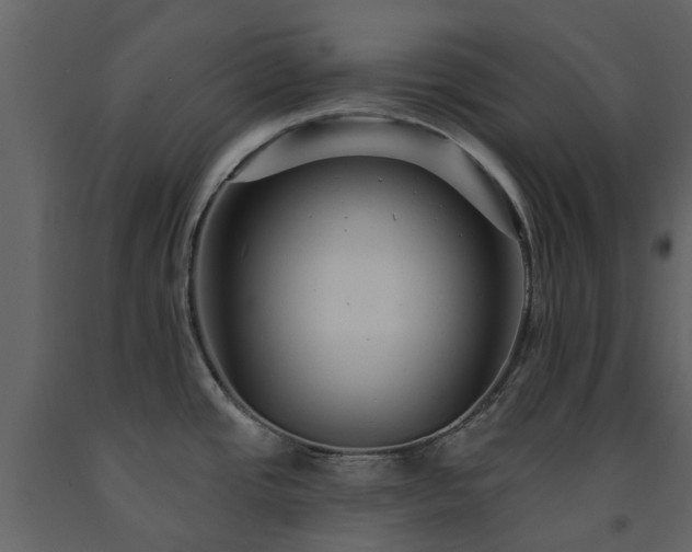 X0000091731437200708241402