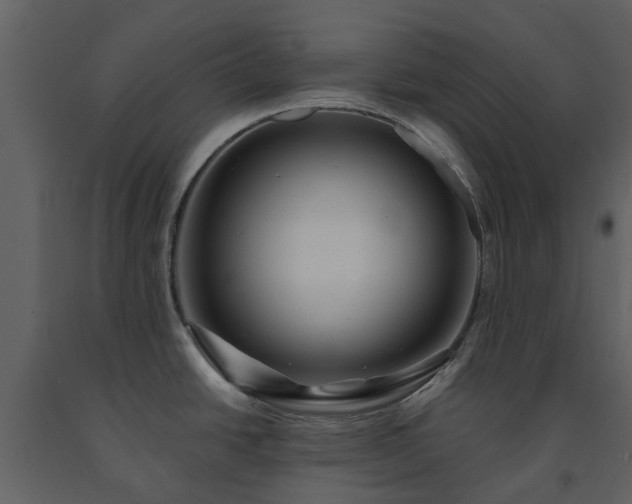 X0000091731438200708241402