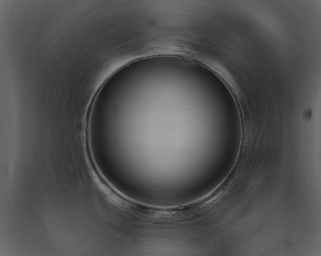 X0000091731439200708241402