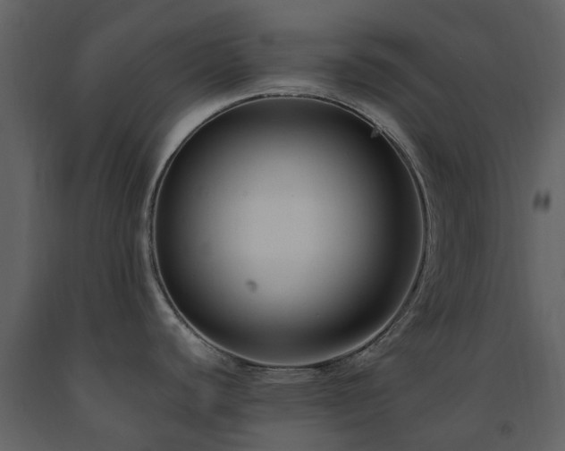 X0000091731440200708241402