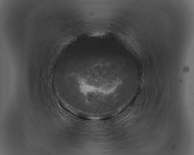 X0000091731441200708241402