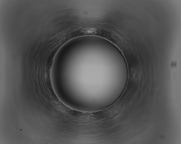 X0000091731442200708241401