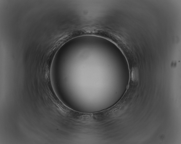 X0000091731444200708241401