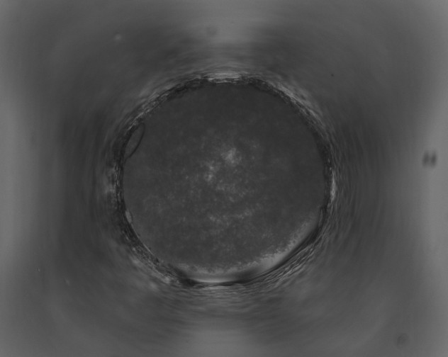 X0000091731445200708241401