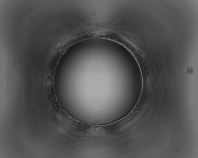 X0000091731447200708241401