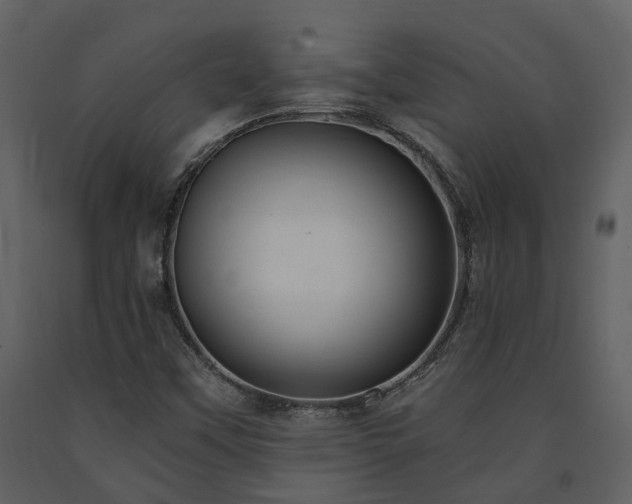 X0000091731451200708241401