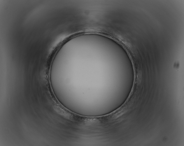 X0000091731454200708241401