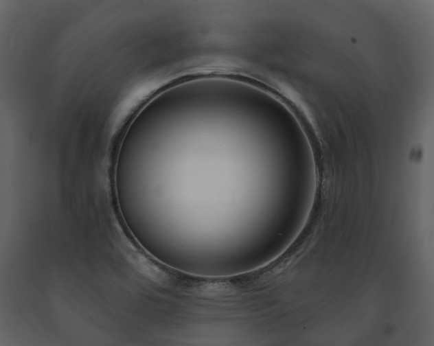 X0000091731464200708241401