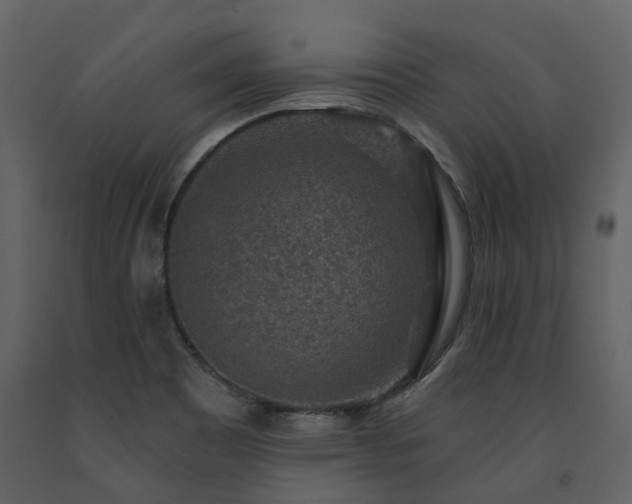 X0000091731465200708241401