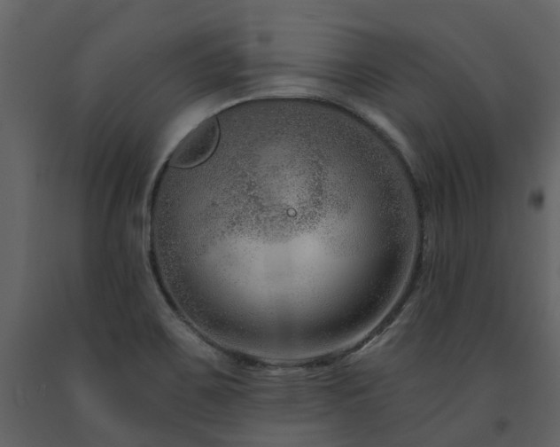 X0000091731467200708241401