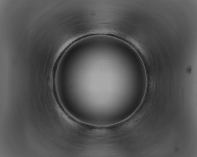 X0000091731468200708241401
