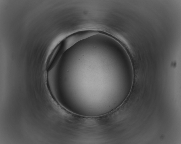 X0000091731472200708241401