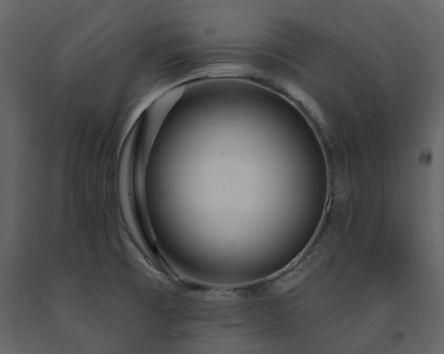 X0000091731473200708241401