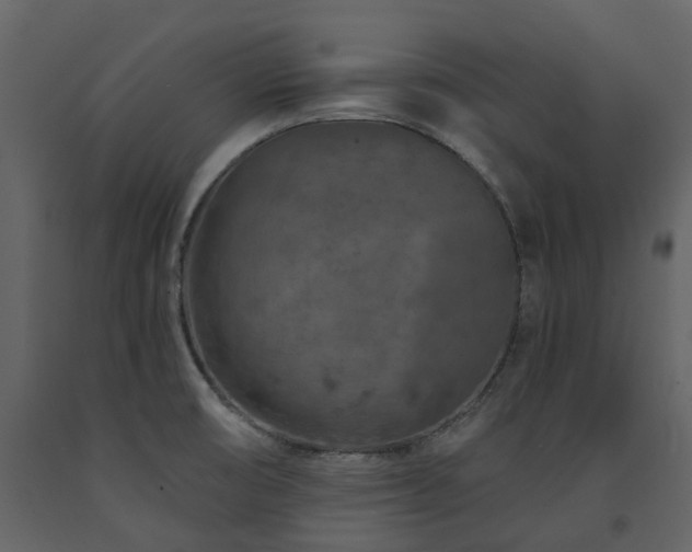 X0000091731474200708241401