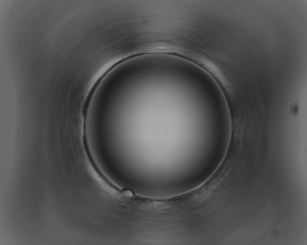 X0000091731476200708241401