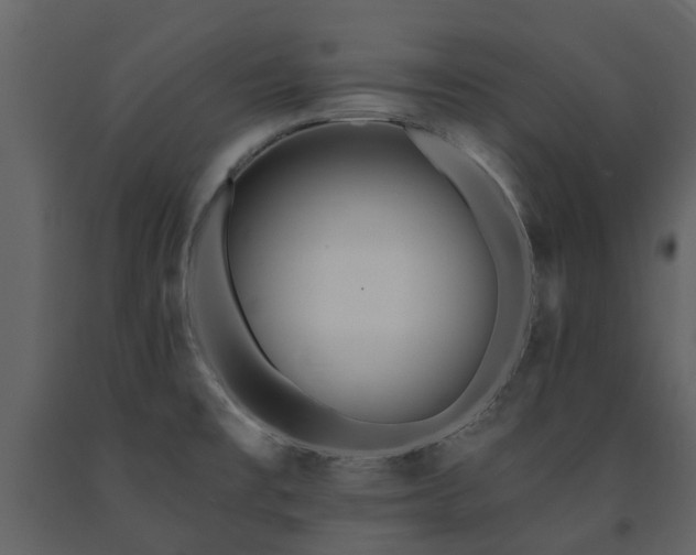 X0000091731477200708241401