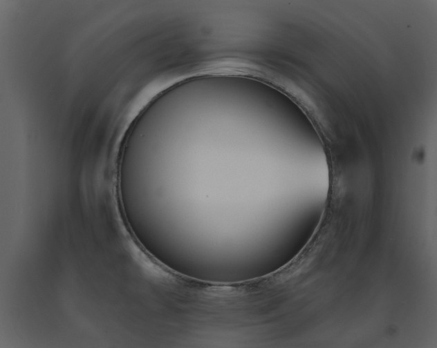 X0000091731478200708241401