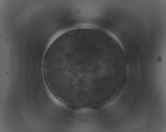 X0000091731482200708241401