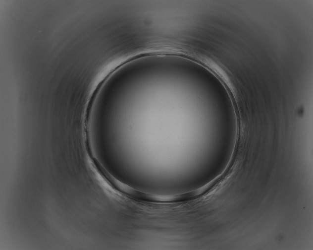 X0000091731485200708241401