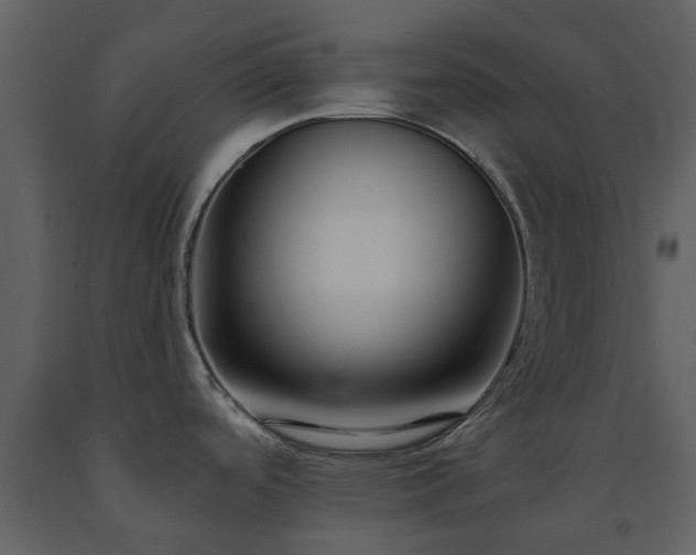 X0000091731488200708241401