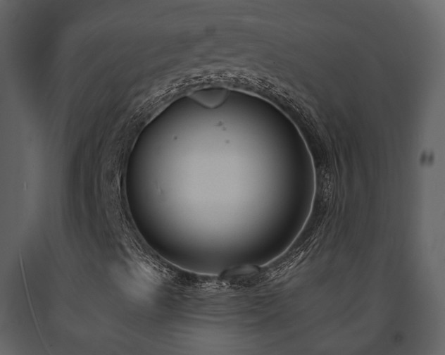 X0000091731489200708241400