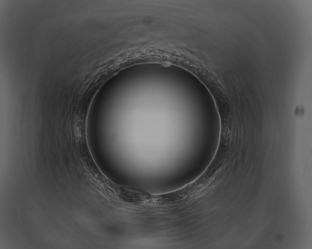 X0000091731490200708241400