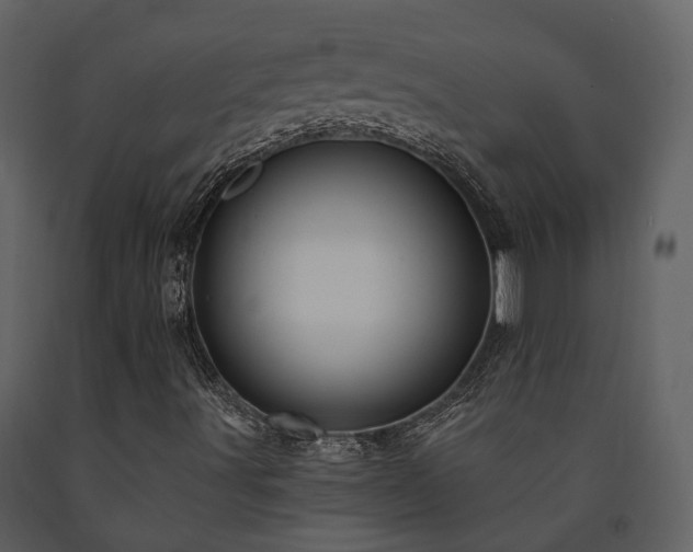 X0000091731491200708241400