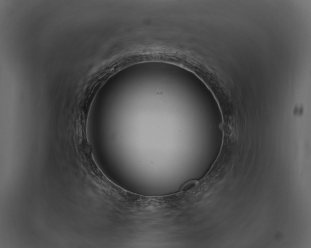 X0000091731493200708241400