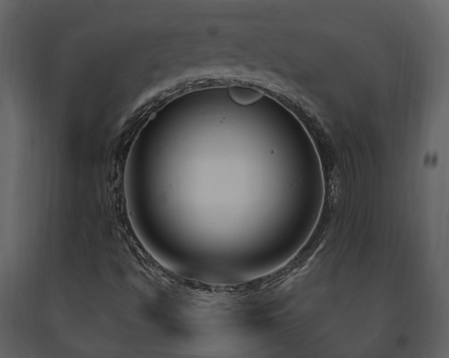 X0000091731494200708241400