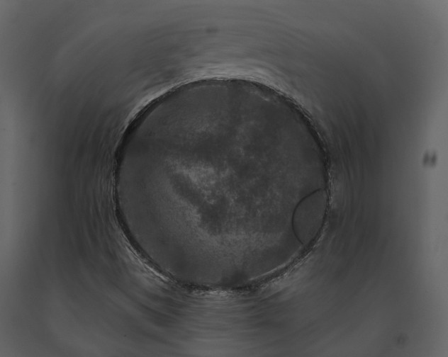 X0000091731497200708241400
