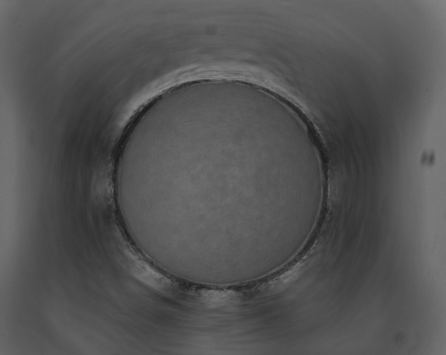 X0000091731498200708241400