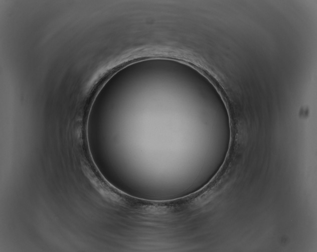 X0000091731499200708241400