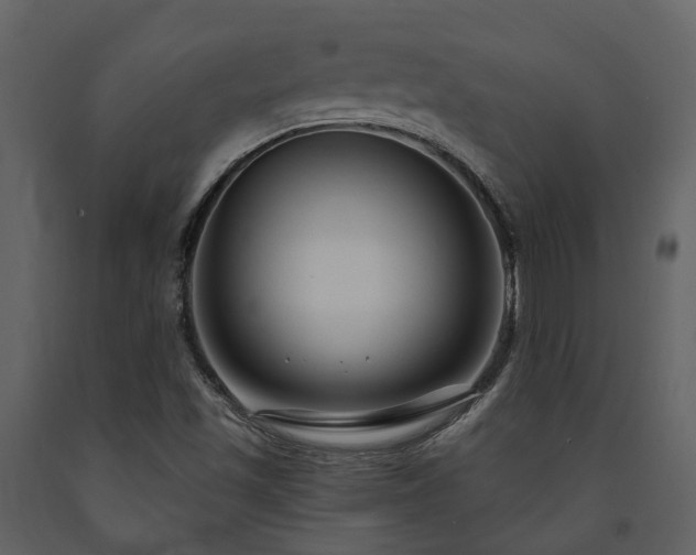 X0000091731501200708241400