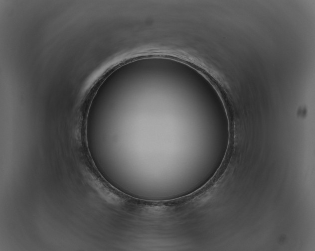 X0000091731502200708241400