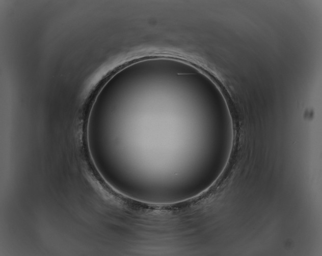 X0000091731503200708241400