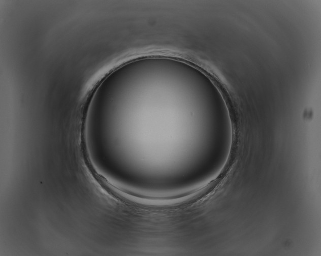 X0000091731504200708241400