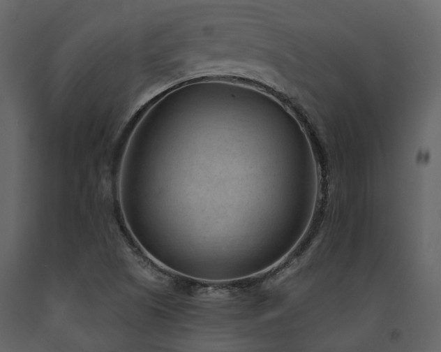 X0000091731505200708241400