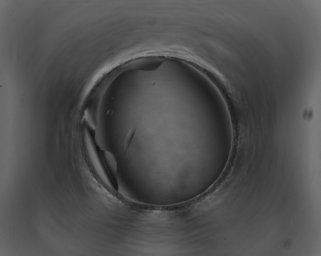 X0000091731506200708241400
