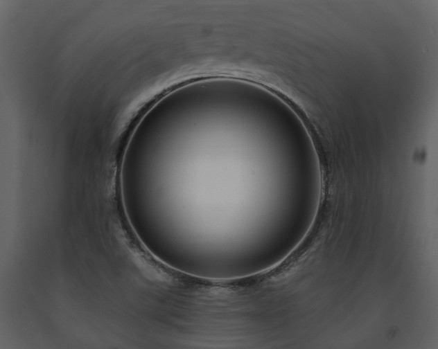 X0000091731507200708241400
