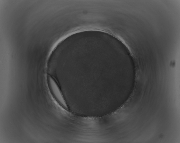 X0000091731508200708241400