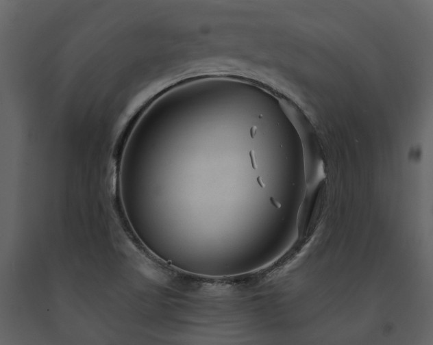 X0000091731509200708241400
