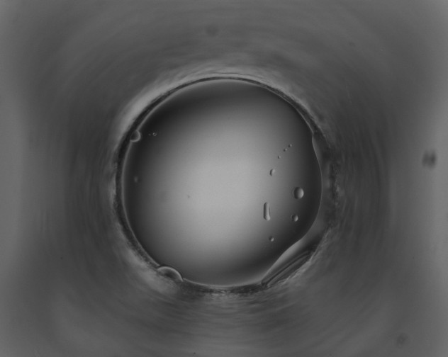 X0000091731511200708241400