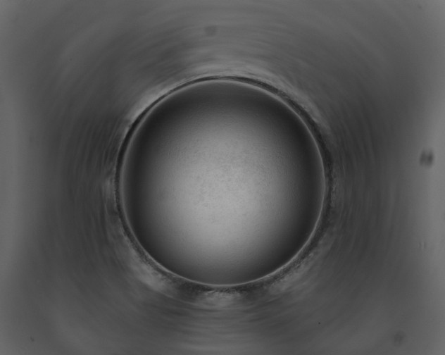 X0000091731513200708241400