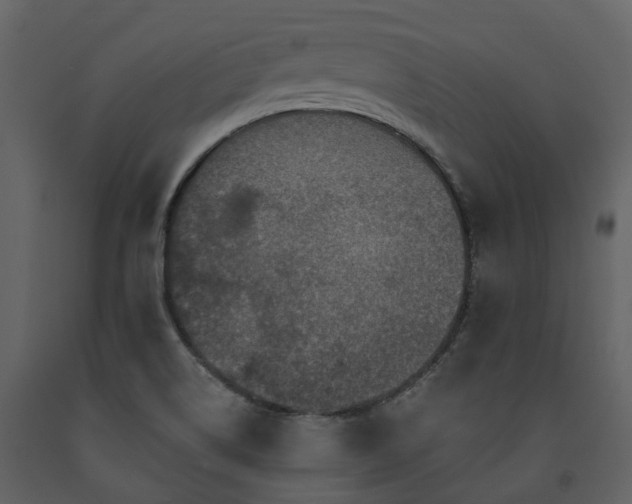 X0000091731514200708241400