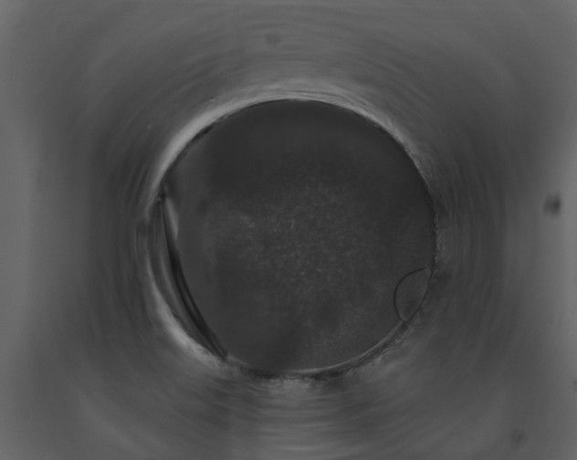 X0000091731515200708241400