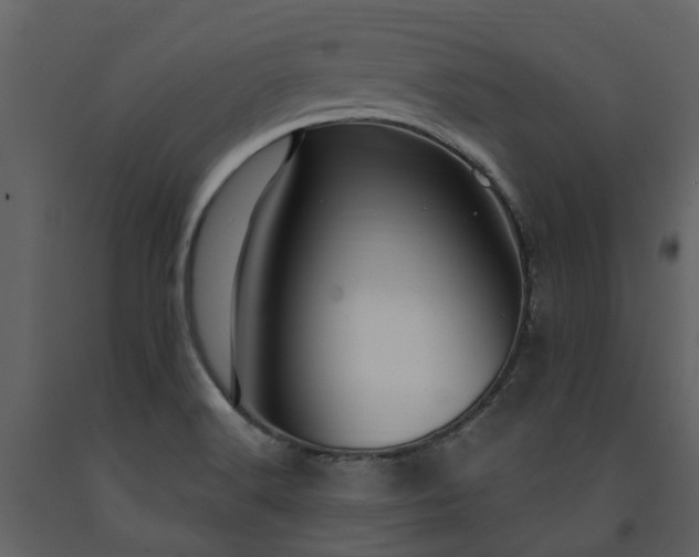 X0000091731516200708241400